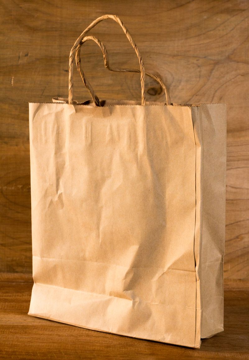 Kraft Twist Handle Carrier Bags 260x340x120mm, pack of 100, wholesale trade bags